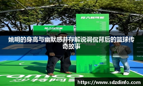 VWIN德赢官网