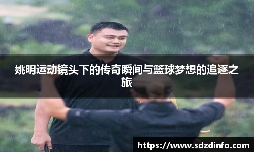 VWIN德赢AC米兰官方合作伙伴