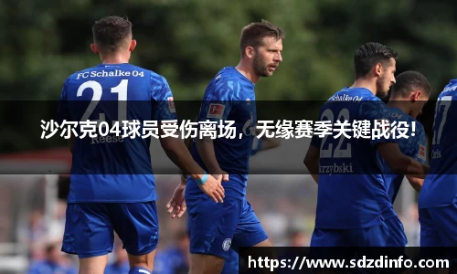 VWIN德赢官方网站