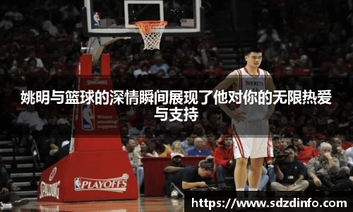 VWIN德赢官网