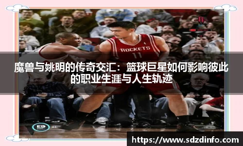 VWIN德赢AC米兰官方合作伙伴