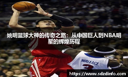 VWIN德赢AC米兰官方合作伙伴