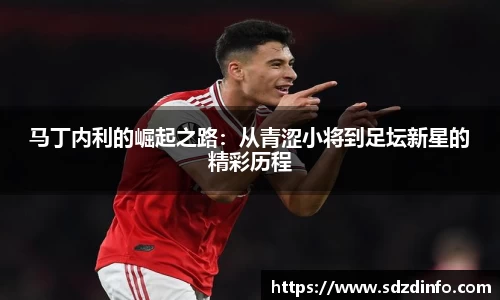 马丁内利的崛起之路：从青涩小将到足坛新星的精彩历程