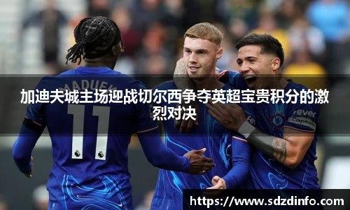 加迪夫城主场迎战切尔西争夺英超宝贵积分的激烈对决